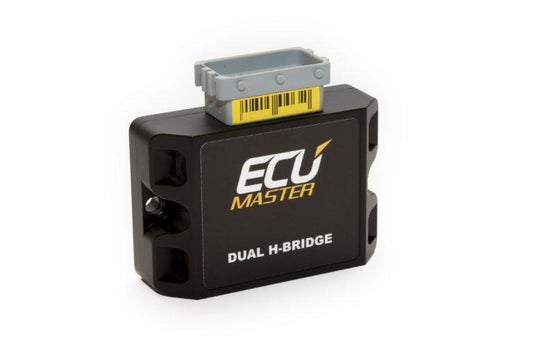 Dual H-Bridge