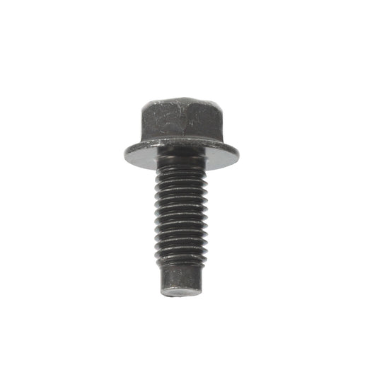 Flange Bolt - 901000303